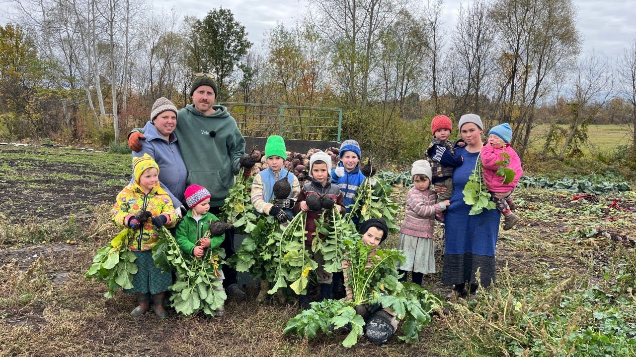ОГРОМНАЯ свекла и ЧЕРНАЯ редька! Вся семья убирает урожай!