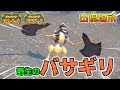 【藍の円盤】野生のバサギリ出現場所【ポケモンSV/スカーレット バイオレット/ゼロの秘宝】