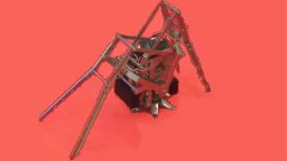 Crawling Slinky Inch Worm Robot * IMG *