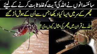 Why Did Allah Create Mosquitoes? The Answer Will Shock You | Miracle of the Quran ( Hindi+Urdu)