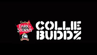 Collie Buddz - Playback Tour/New Orleans (Tour Recap)