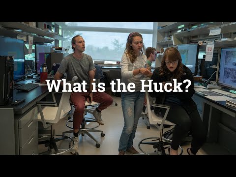 What is the Huck?