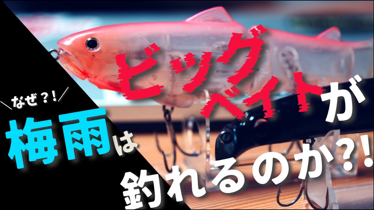 必見】梅雨こそ投げたい！本当に釣れるオススメビッグベイト2選