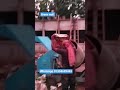 ছাদ ডালাইর কাজ চলমান আছে #subscribe #construction #greenwall