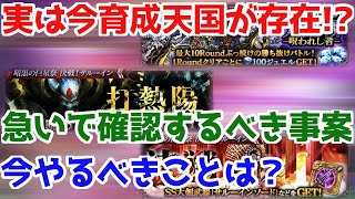 【ロマサガRS】今やるべきはコレ！育成天国紹介と今日中に確認するべきこと【ロマサガ リユニバース】【ロマンシングサガ リユニバース】