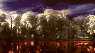K.T. KiLLaz - Nightmare