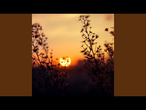 و أ ق يم وا الص ل اة و آت وا الز ك اة