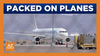 Mesa Gateways Surge In Ice Deportation Flights Raises Questions