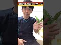 【お酒好き必見】肝臓の疲れをドバドバ流して代謝UP方法！
