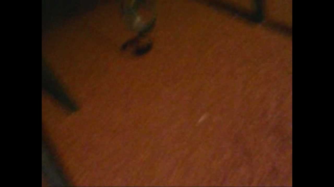 Critical Cirkus Commercial #1 for the New Album CitySlicker