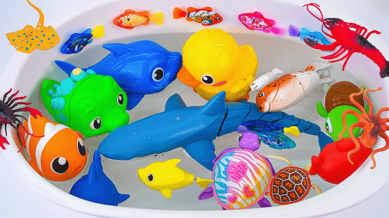 Toy ASMR | Unboxing RC Lighting Fish & RC Blue Shark & Sea Animal Aquarium 💛Water Toy Fun