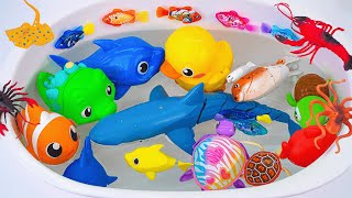 Toy ASMR | Unboxing RC Lighting Fish & RC Blue Shark & Sea Animal Aquarium 💛Water Toy Fun screenshot 3