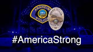 Anaheim PD: Thunderbird #AmericaStrong screenshot 4