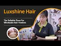 LUXSHINE | Inside Vietnam's Largest Human Hair Factory: The Intriguing World of Hair Texture