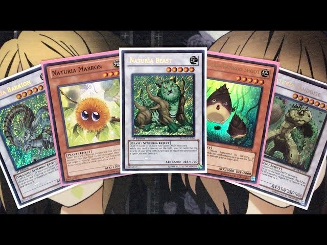 naturia yugioh deck Cliff [DT03-EN019] Super Rare Naturia Exterio | Yu-Gi-Oh! Wiki