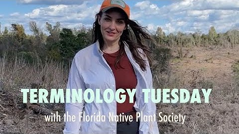 TERMINOLOGY TUESDAY 🌿 Silviculture & Forestry