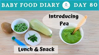 Baby Food Diary | Day 80 | Pea Baby Food Recipe | Baby Lunch + Baby Snack Recipe | 8m+