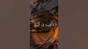 قرآن كريم تلاوة خاشعة ومؤثرة للشيخ #ياسر_الدوسري #ريحانة_قرآن #قرآن #تلاوة_خاشعة #quran #راحة_نفسية