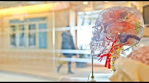 Rank Brain — Google