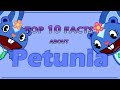 Top 10 Facts About PETUNIA From Happy Tree Friends Character Review 