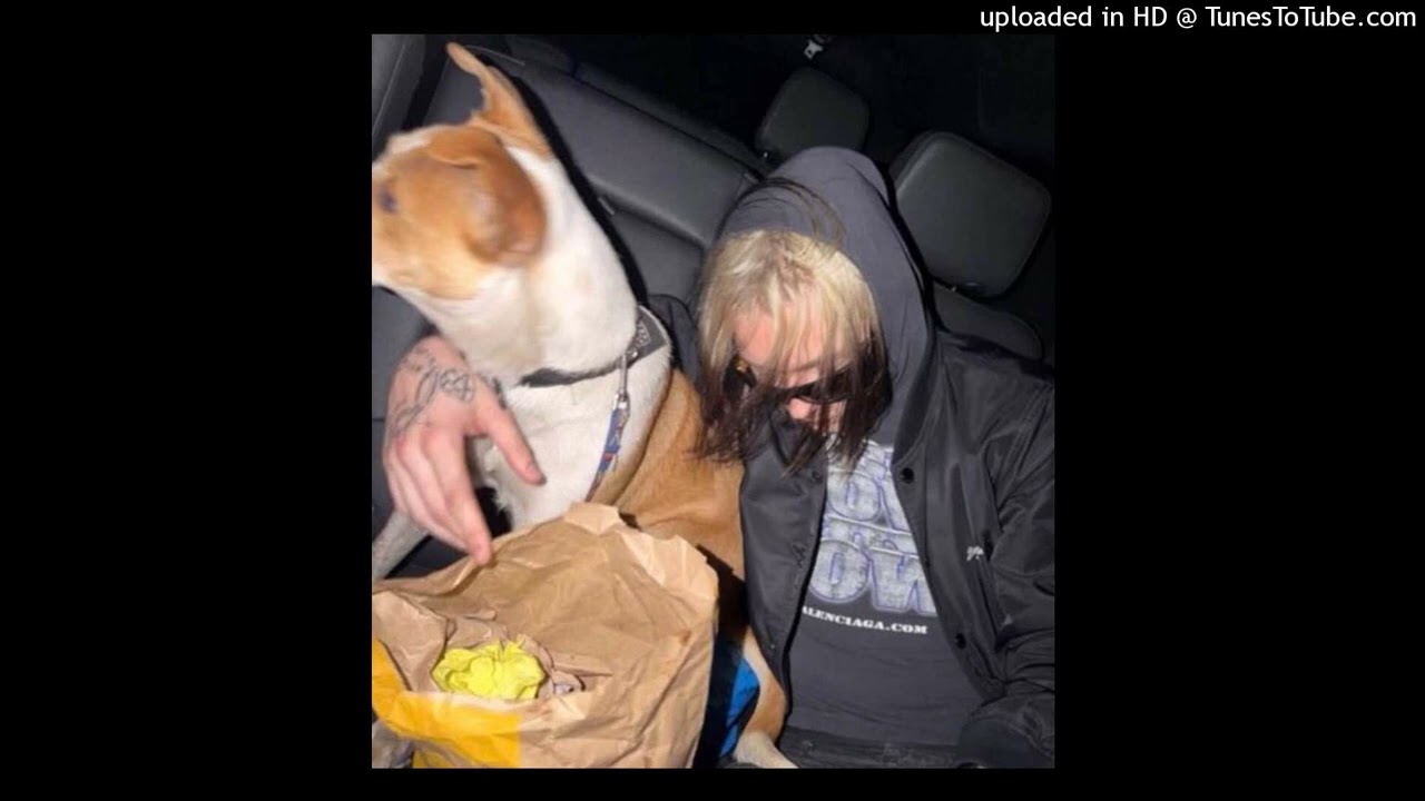 [free] nettspend + ok + osamason type beat 