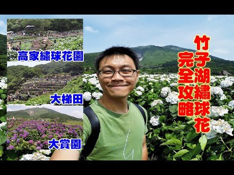 [竹子湖繡球花完全攻略] 陽明山三大熱門繡球花園對應公車站牌，大賞園遊客最少更好拍照打卡，一起來賞花吧！