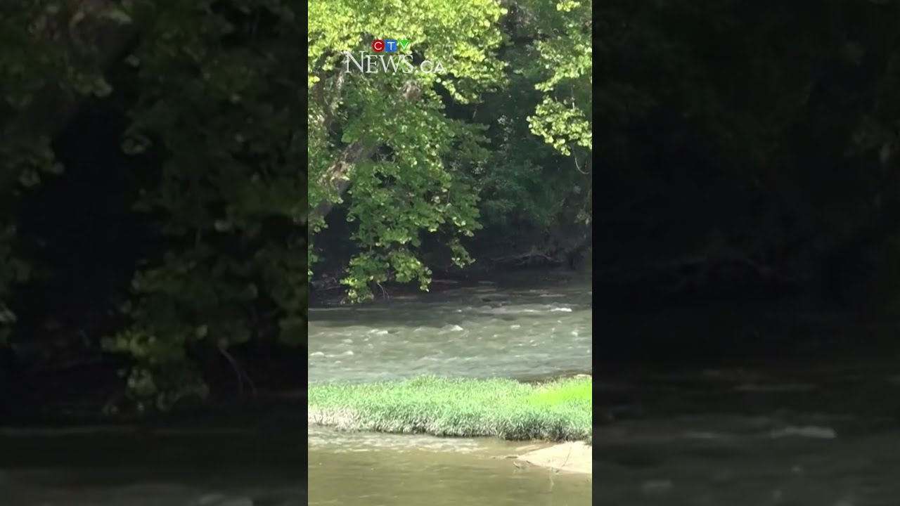 JD Vance Went Kayaking For His Birthday Secret Service Had The River Level Raised
