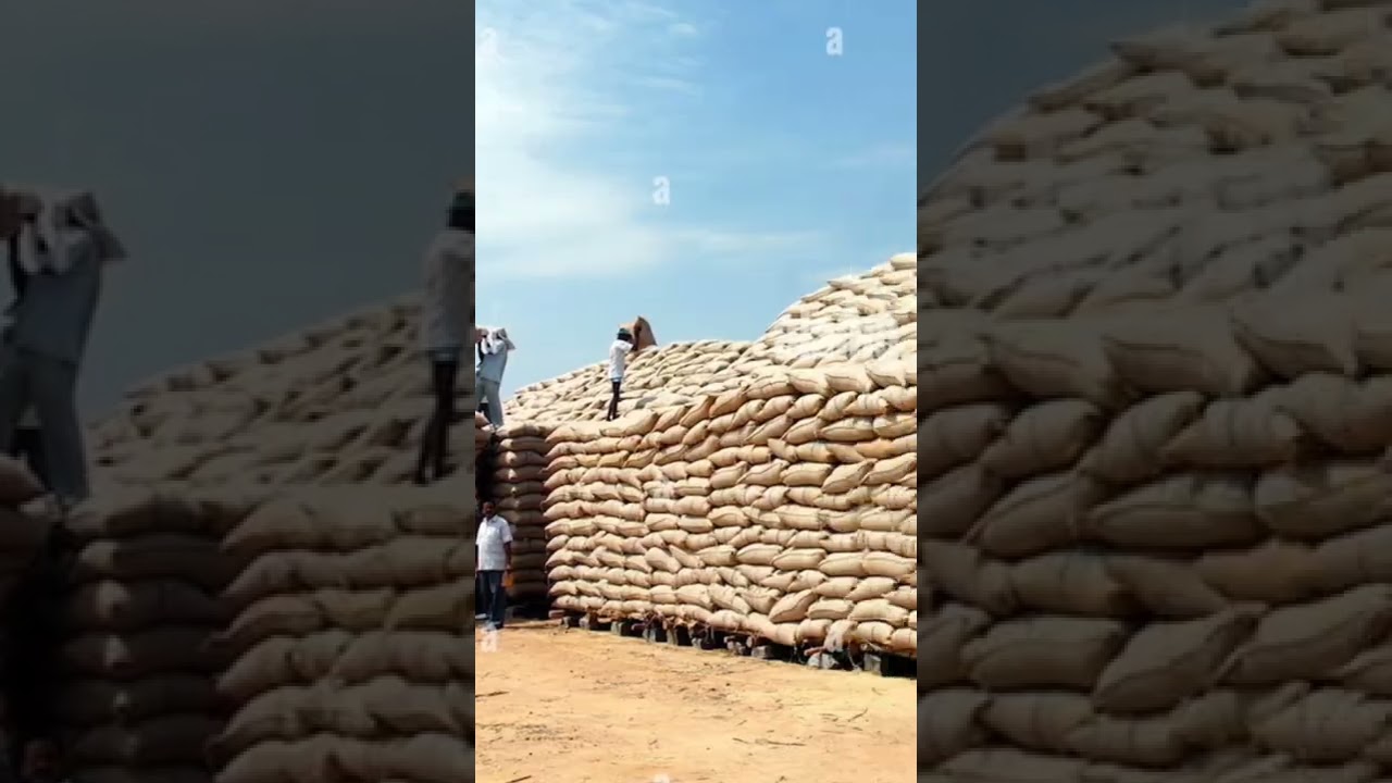 Inventory count experience of auditor 