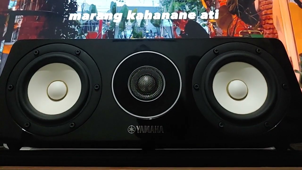 Test Speaker Yamaha NS-C500 Center