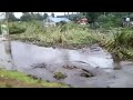 Sinkhole Swallowing Water, Mud and Tall Grasses