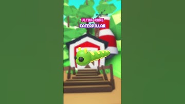 🤩 NEW FARM PETS!! 🐛