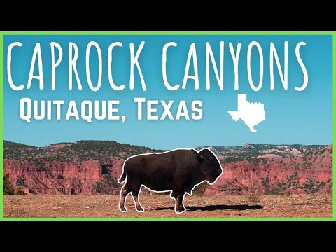 Видео: Caprock Canyons State Park: полное руководство
