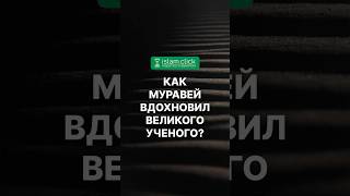 Как муравей вдохновил великого ученого? Абу Яхья Крымский #shorts
