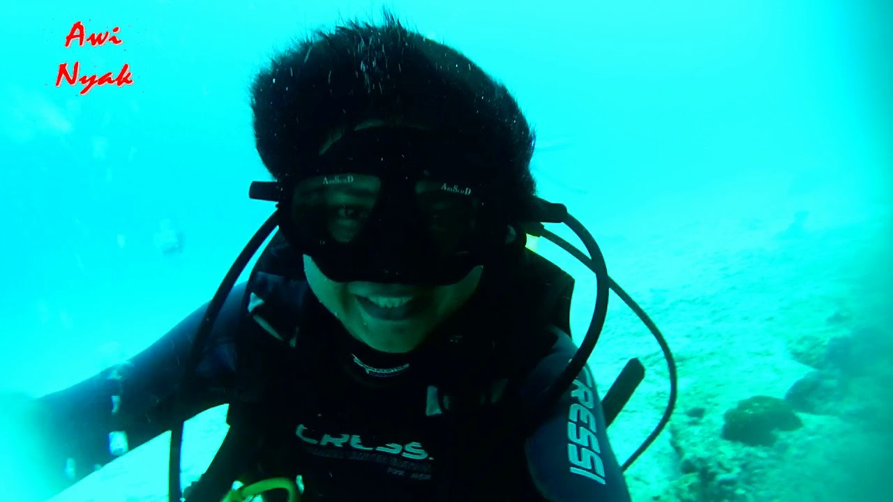 Diving at Rubiah Sea Garden, Iboih, Weh Island, Sabang