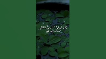 تلاوة خاشعة تبارك الله | أستمع ثواني من وقتك | القارئ محمد الغزالي