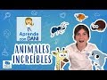 Animales increíbles | Aprende con Dani