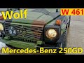 Mercedes-benz 250 GD Wolf // Авто в Германии