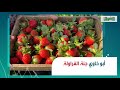 قرية مصرية عايمة على بحر من الدهب الأحمر قصة أبو خاوي اللي ممكن تحل أزمة الدولارات وسمعتها عالمية