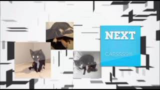 Cartoon Network Europe Check It 1.0 Daytime Next Catssss Bumper