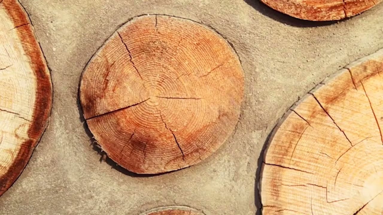 Arcus Centre for Social Justice Leadership by Jeanne Gang