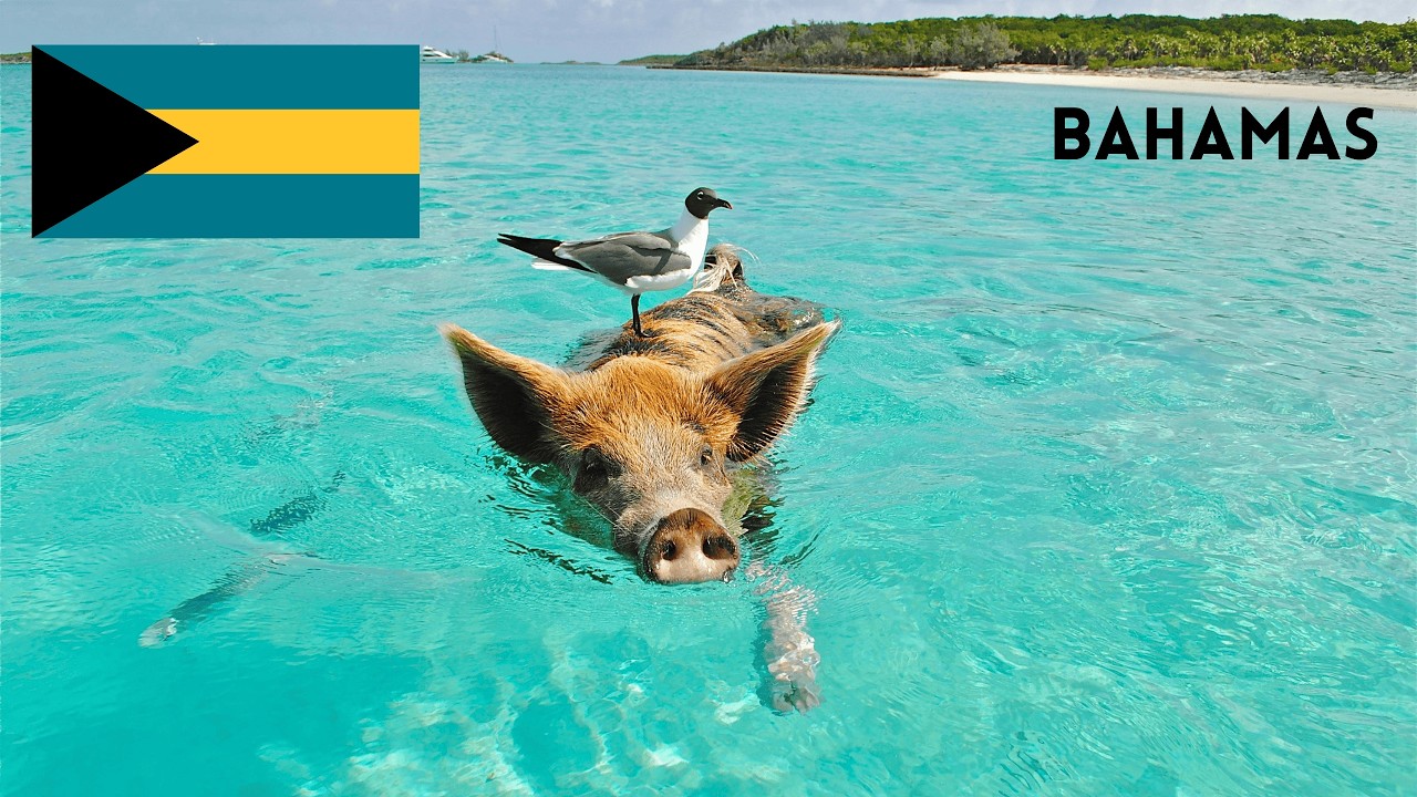 Top 10 things to do and visit at the Bahamas 🇧🇸