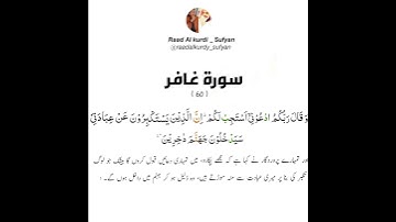 Raad Al kurdi Whatsapp status with Urdu translation / رعد الكردي حالات واتس اب / سورة غافر
