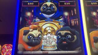 Did We Win On The Pug Pays Pay Day At Golden Gate Las Vegas