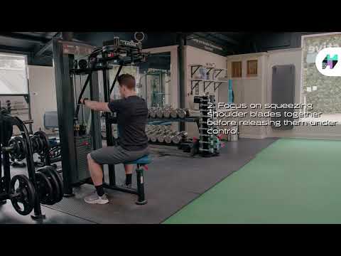 Seated Reverse Fly Machine