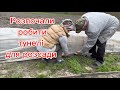 Плівковий тунель для вирощування розсади