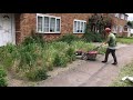 Clearing weeds general garden maintenance