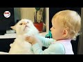 Ekim Ayının En Eğlenceli Kedi ve Bebek Videoları 👶 Komik Bebekler 2018 #envi
