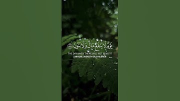 ولا تخزني يوم يبعثون #الشعراء #مشاري_العفاسي #قرآن #quran #تلاوة_خاشعة #أذكار