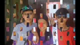 SNHS BATCH 2010-2011