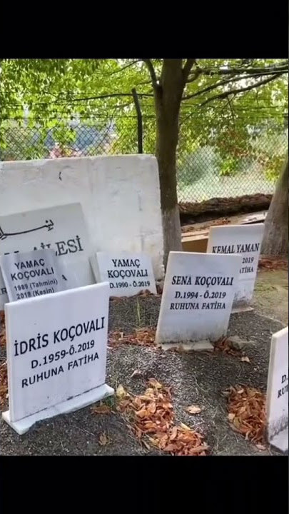 cukur short video